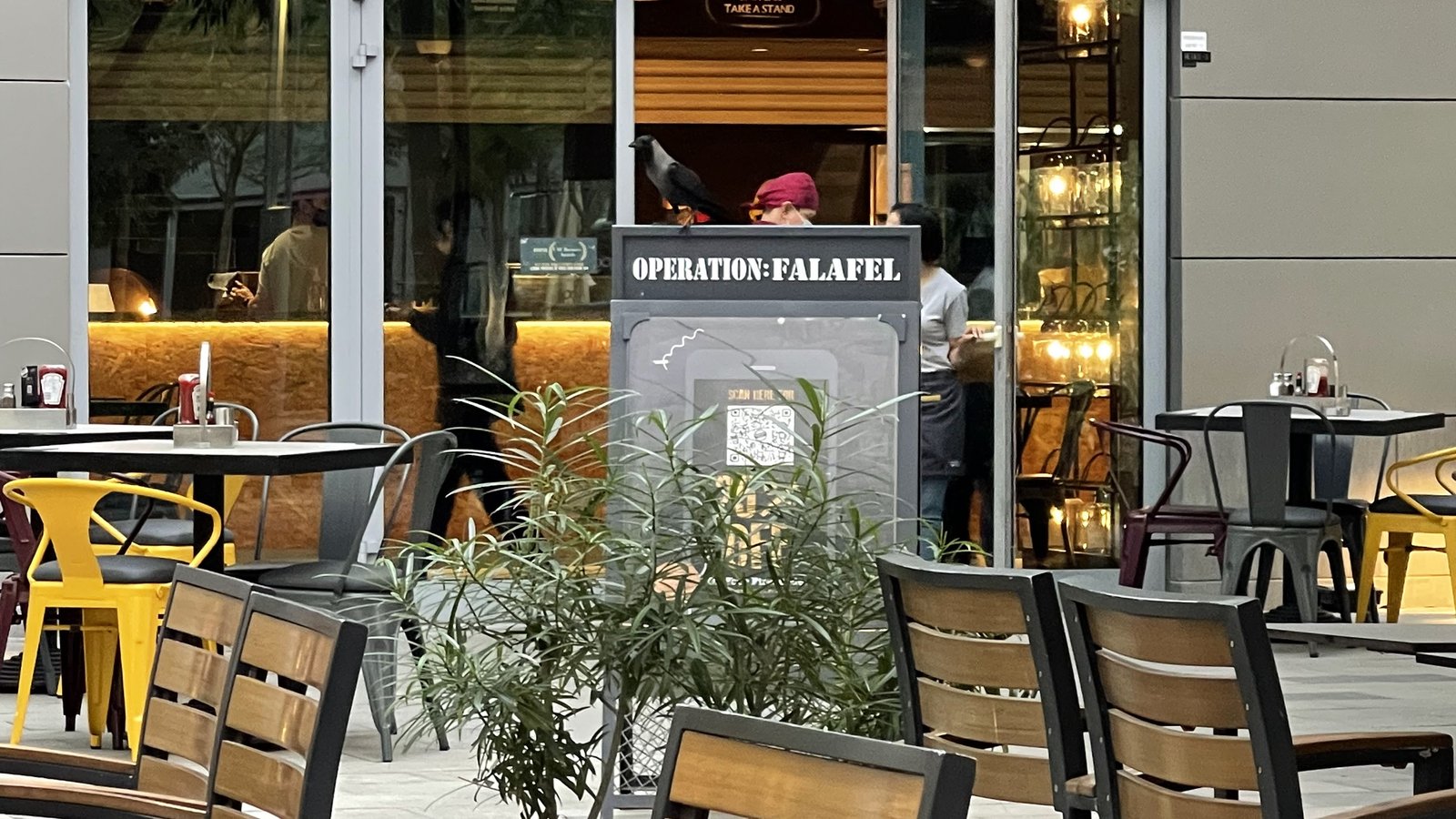 Operation Falafel