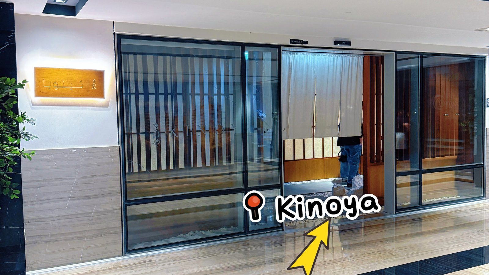 Kinoya