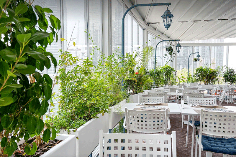 The New Arab Culinary Voice in Dubai
